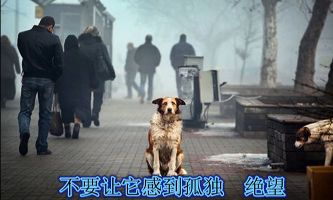 图木舒克图木舒克爱影圈微博微信转发案例